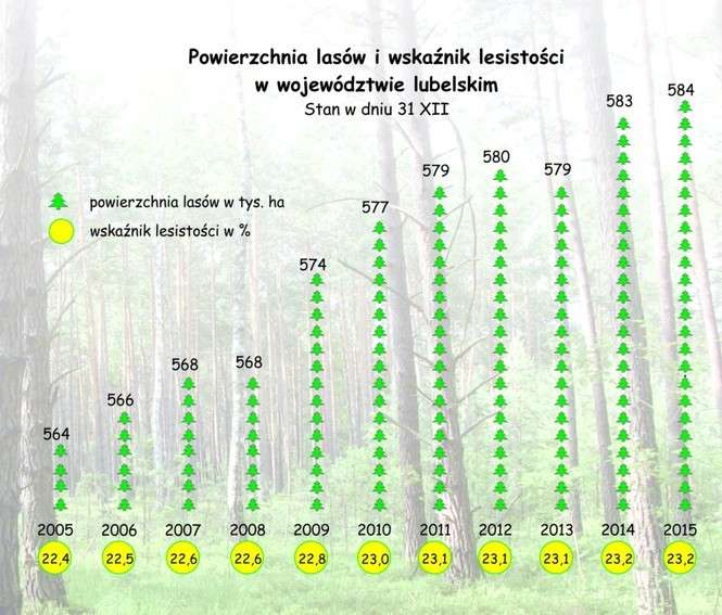 Lasy w województwie lubelskim