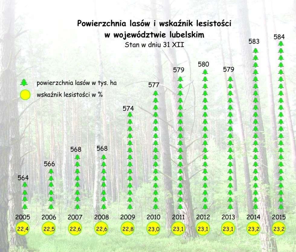  Lasy w województwie lubelskim (zdjęcie 2) - Autor: Urząd Statystyczny w Lublinie