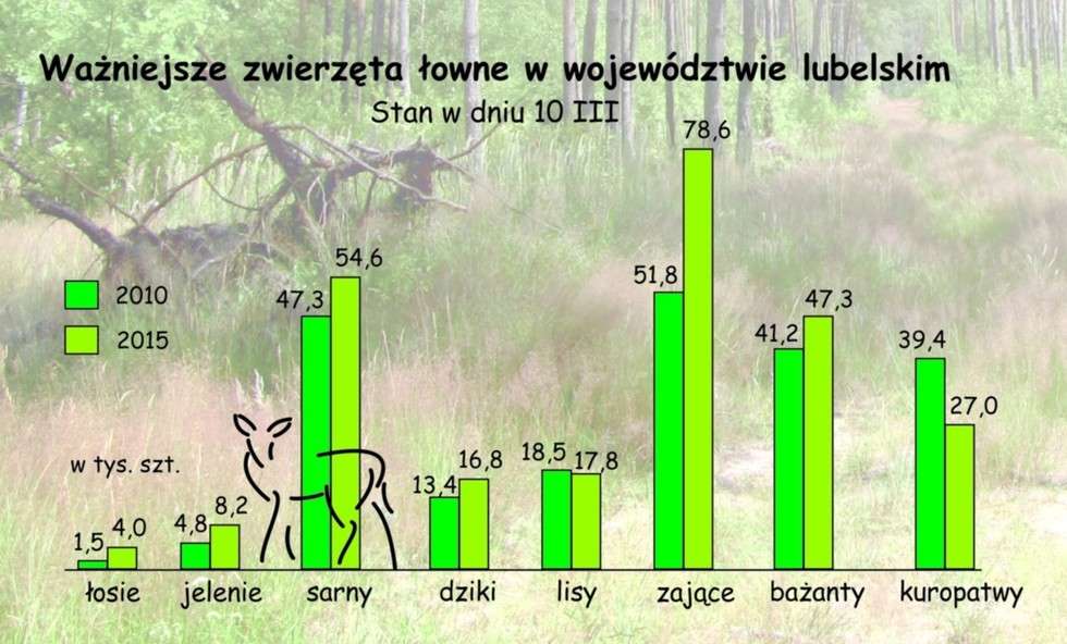  Lasy w województwie lubelskim  - Autor: Urząd Statystyczny w Lublinie