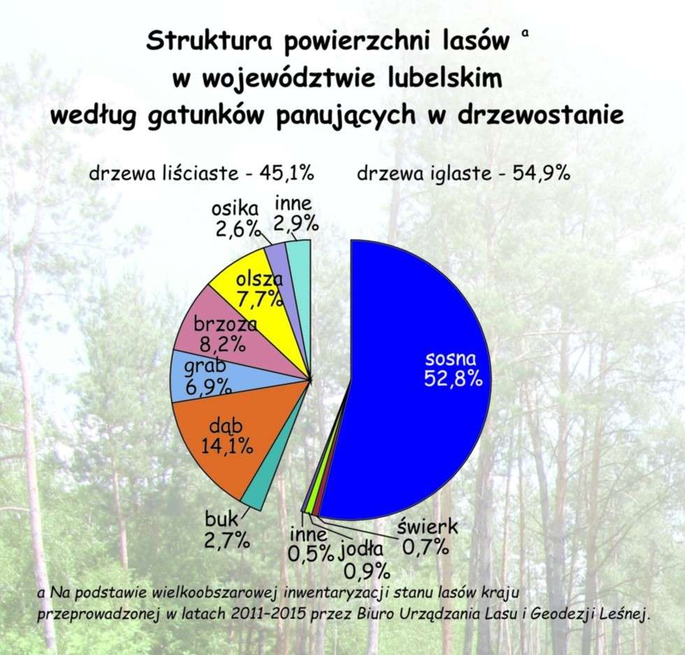  Lasy w województwie lubelskim (zdjęcie 5) - Autor: Urząd Statystyczny w Lublinie