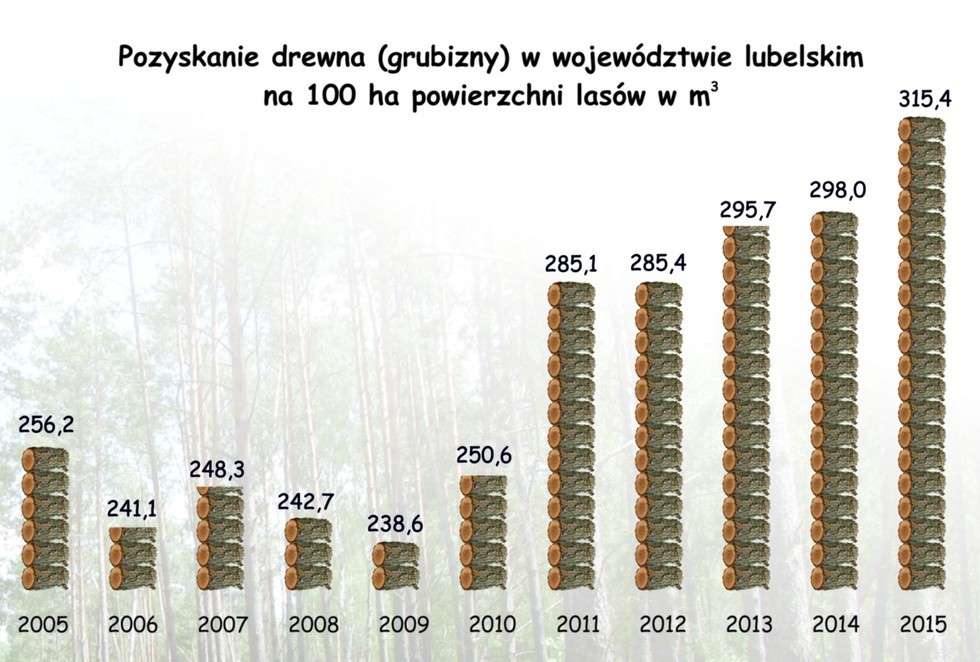  Lasy w województwie lubelskim (zdjęcie 4) - Autor: Urząd Statystyczny w Lublinie