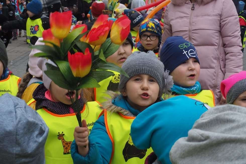  Powitanie wiosny lubelskich przedszkolaków (zdjęcie 14) - Autor: Maciej Kaczanowski