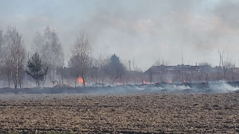  Pożar traw w Głusku (zdjęcie 1) - Autor: Małgorzata Kieliszek