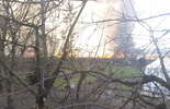 Pożar traw w Głusku (zdjęcie 2)