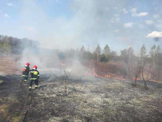 Pożar traw w Kajetanowie