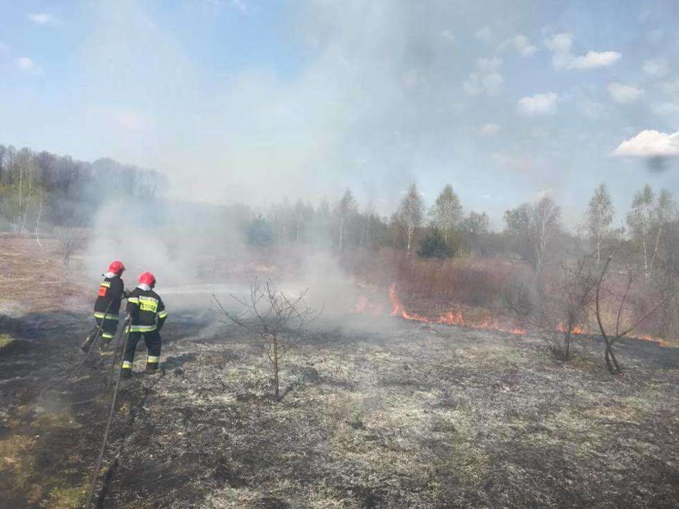  Pożar traw w Kajetanowie (zdjęcie 2) - Autor: Grzegorz Kosmala / OSP KSRG Góra Puławska