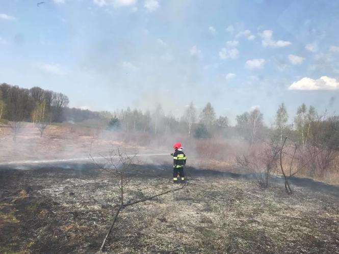 Pożar traw w Kajetanowie - Autor: Grzegorz Kosmala / OSP KSRG Góra Puławska