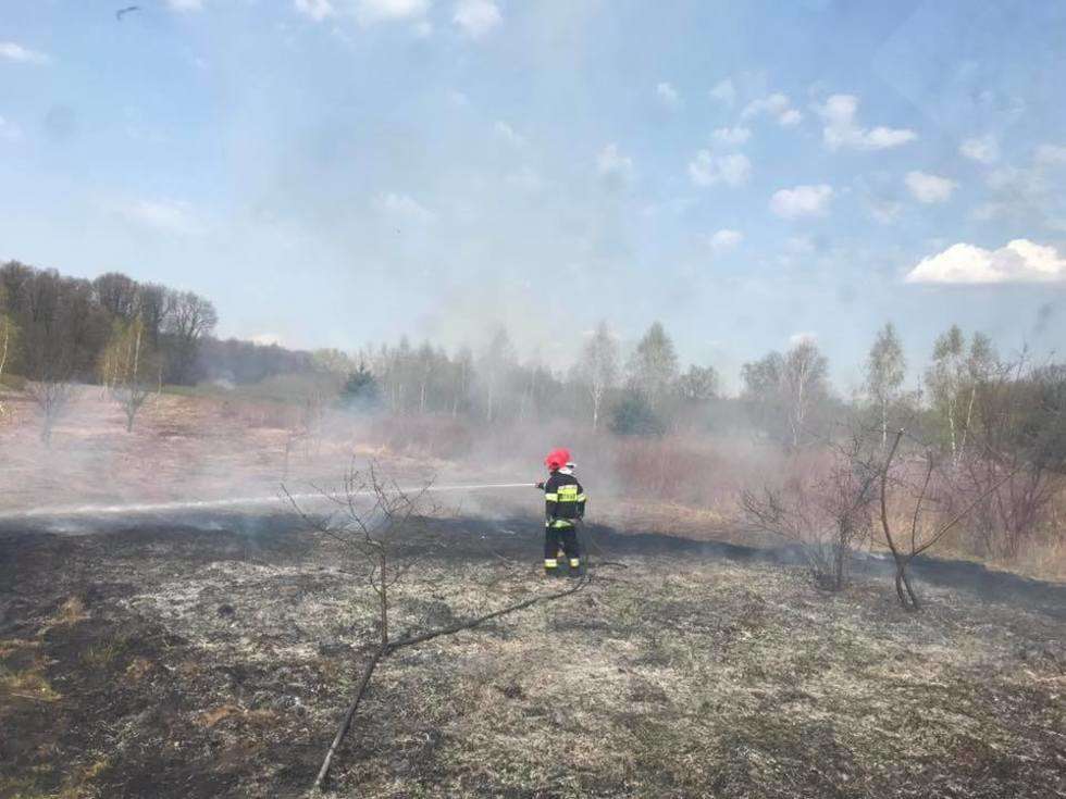 Pożar traw w Kajetanowie (zdjęcie 1) - Autor: Grzegorz Kosmala / OSP KSRG Góra Puławska