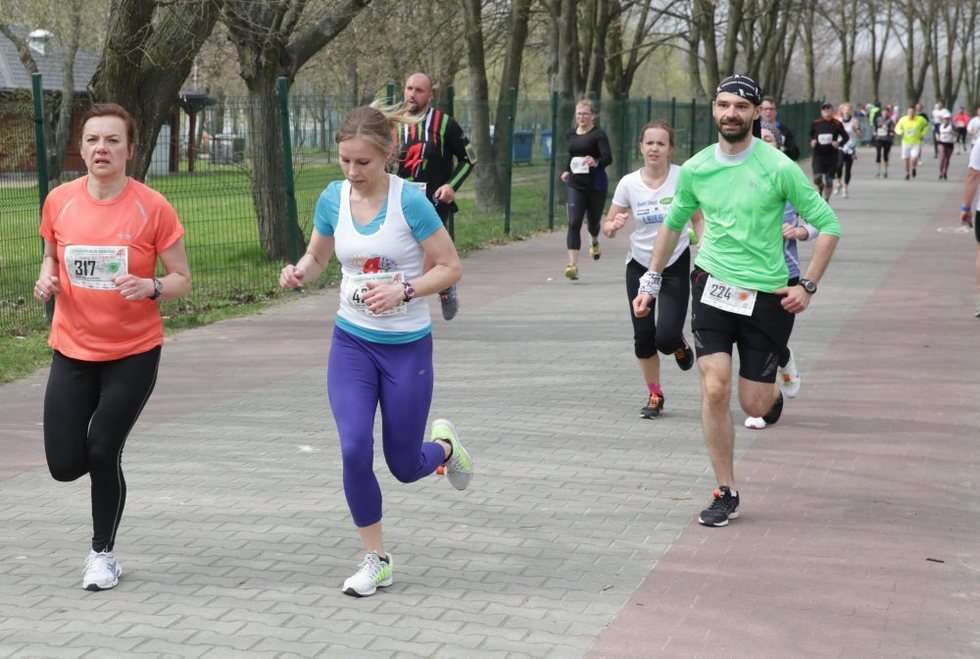  Dycha do maratonu 1 (zdjęcie 28) - Autor: Wojciech Nieśpiałowski