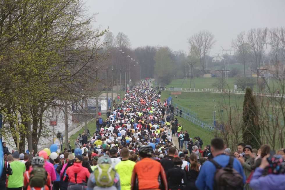  Dycha do maratonu 2 (zdjęcie 15) - Autor: Wojciech Nieśpiałowski