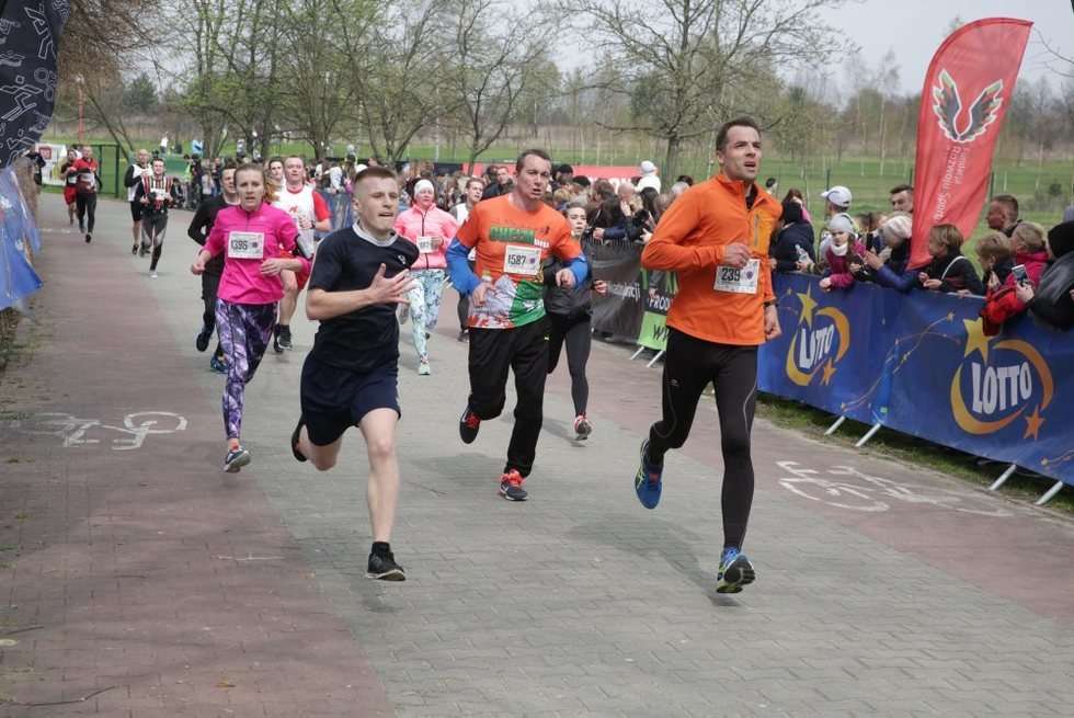  Dycha do maratonu 4 (zdjęcie 13) - Autor: Wojciech Nieśpiałowski