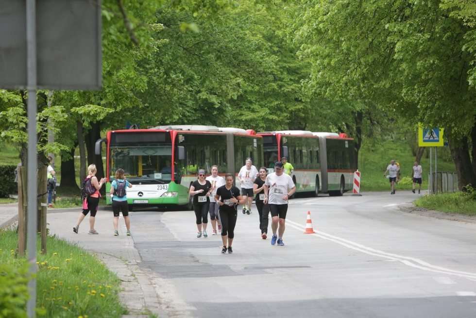  Maraton Lubelski c.d. (zdjęcie 61) - Autor: Wojciech Nieśpiałowski