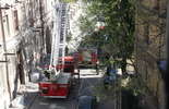 Strażacy zdejmowali kota z dachu (zdjęcie 3)