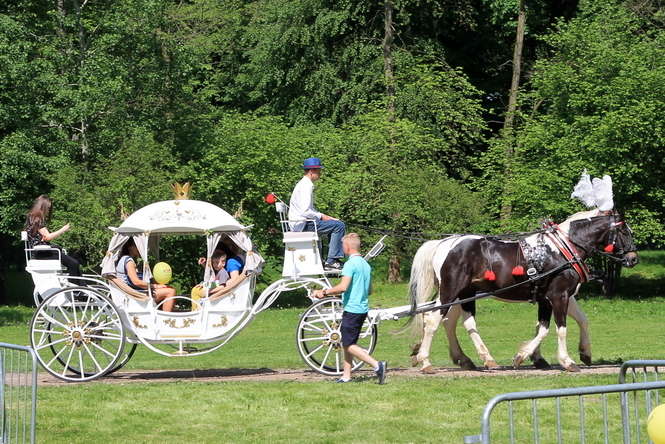 Festiwal szwajcarski Siła regionów w Puławach