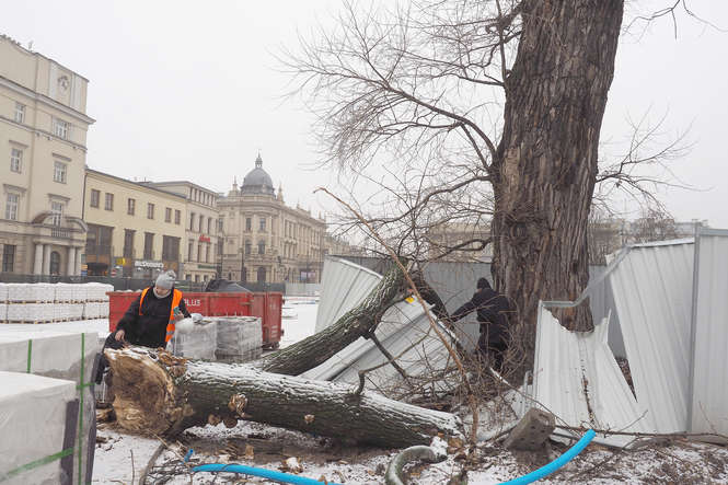 Pożegnanie z Baobabem na placu Litewskim