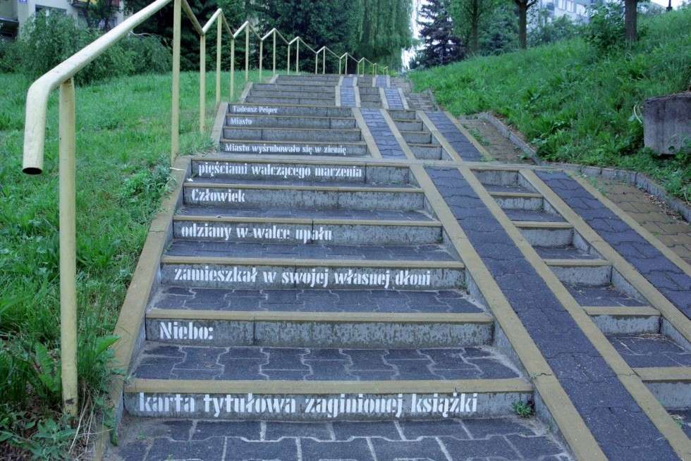  Miasto Poezji 2017: nowe wiersze na schodach w Lublinie (zdjęcie 2) - Autor: Alicja Magiera