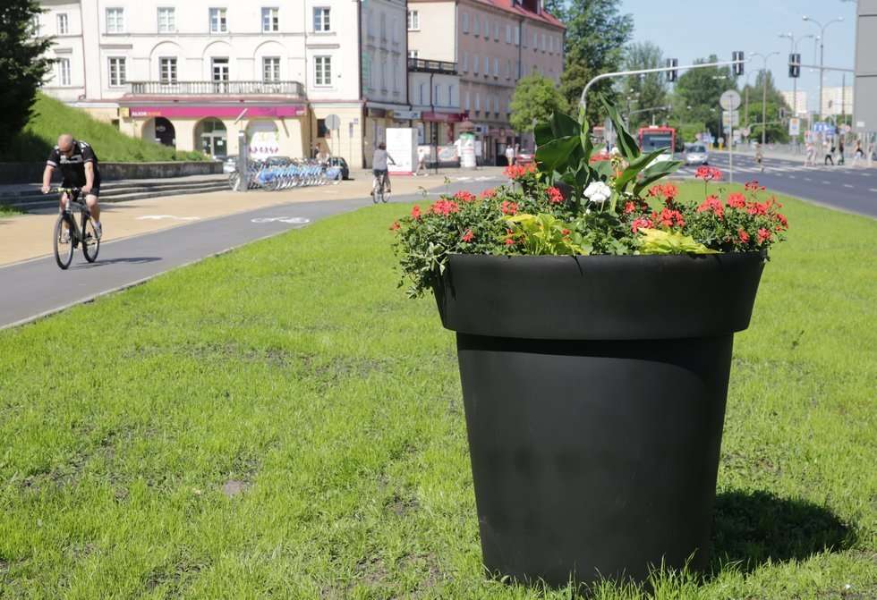  Kwiaty w centrum Lublina (zdjęcie 3) - Autor: Wojciech Nieśpiałowski