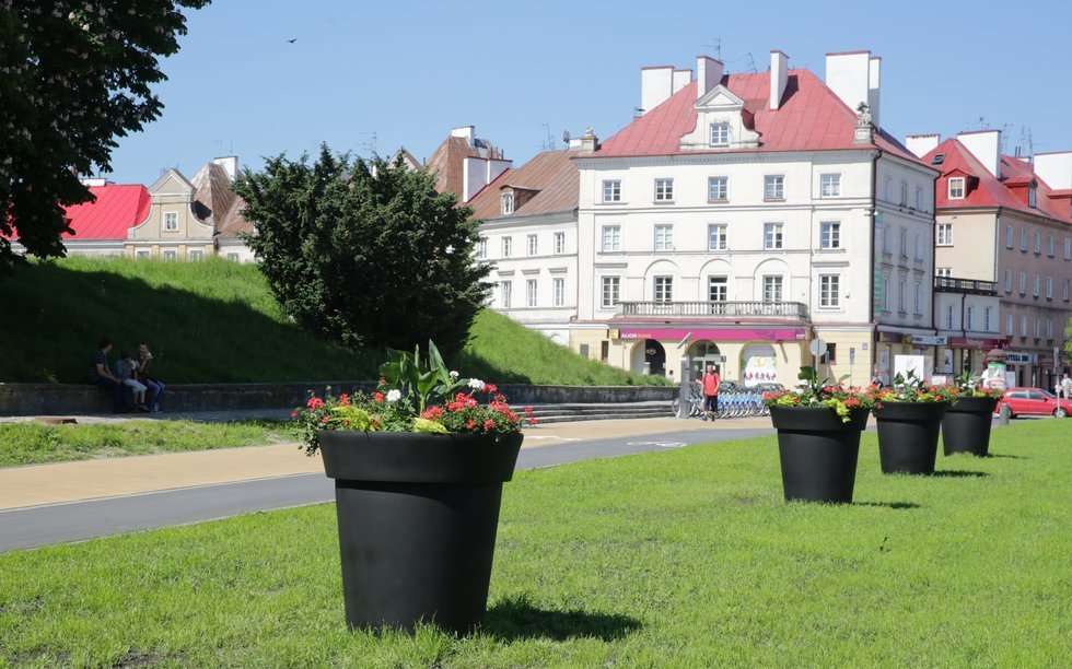  Kwiaty w centrum Lublina (zdjęcie 4) - Autor: Wojciech Nieśpiałowski