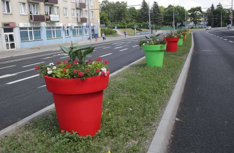  Kwiaty w centrum Lublina (zdjęcie 2) - Autor: Wojciech Nieśpiałowski
