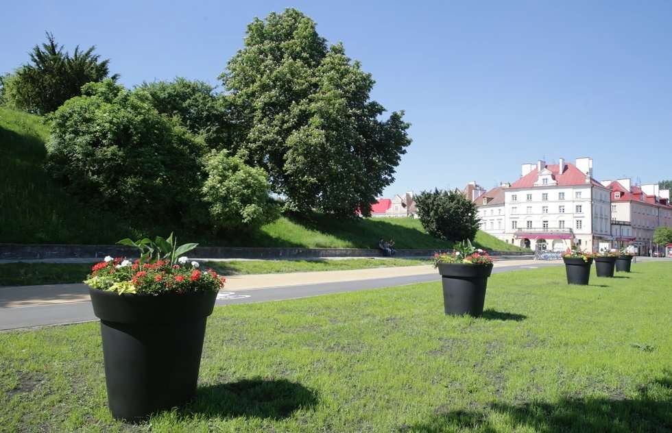  Kwiaty w centrum Lublina (zdjęcie 5) - Autor: Wojciech Nieśpiałowski