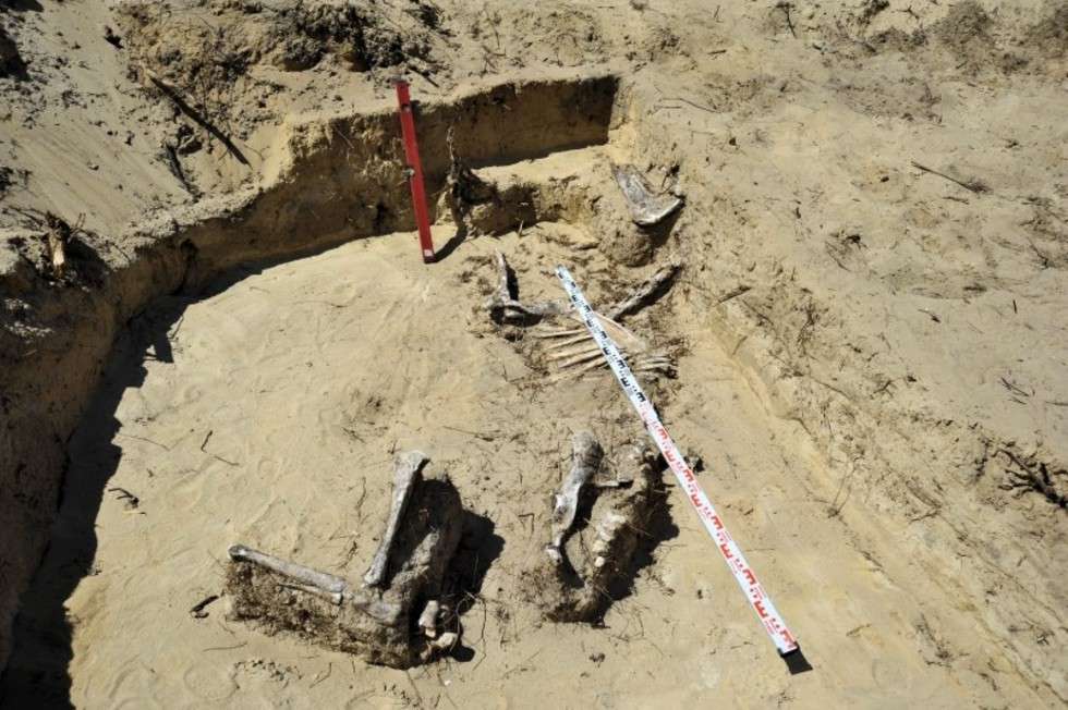  Prace archeologiczne na budowie S17 (zdjęcie 2) - Autor: Krzysztof Nalewajko / GDDKiA