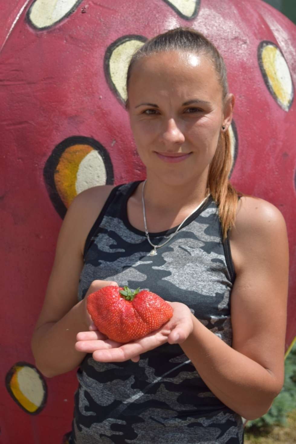 Konkurs na najbardziej dorodną truskawkę (zdjęcie 3) - Autor: Gmina Puławy