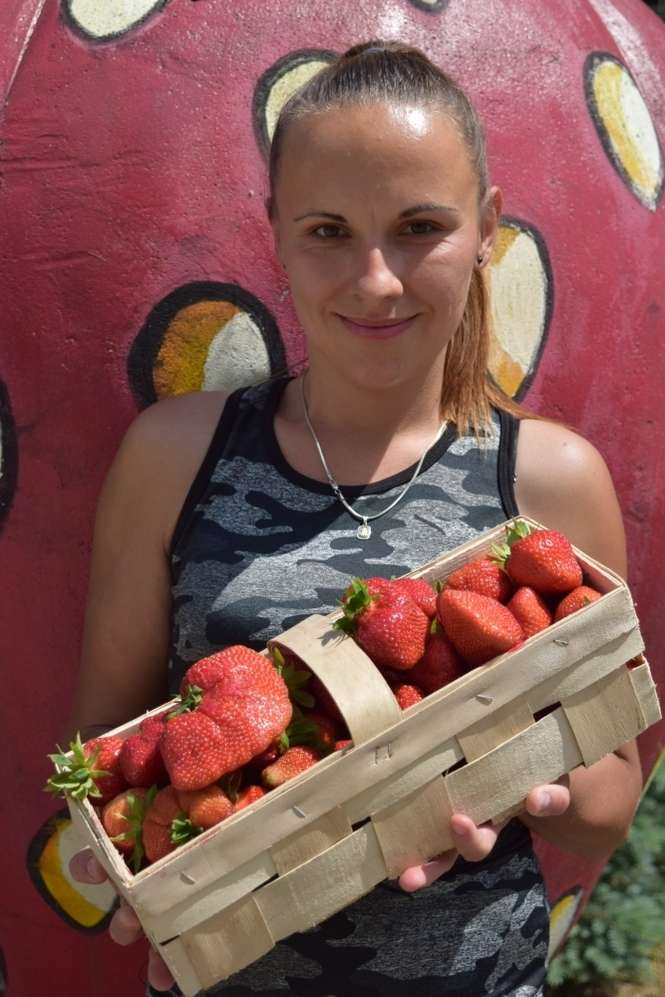 Konkurs na najbardziej dorodną truskawkę - Autor: Gmina Puławy