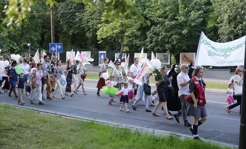  Marsz dla Życia i Rodziny w Lublinie (zdjęcie 25) - Autor: Wojciech Nieśpiałowski