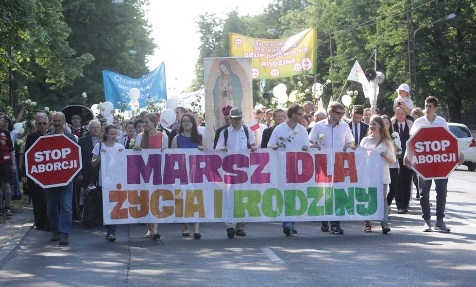 Marsz dla Życia i Rodziny w Lublinie (zdjęcie 30) - Autor: Wojciech Nieśpiałowski