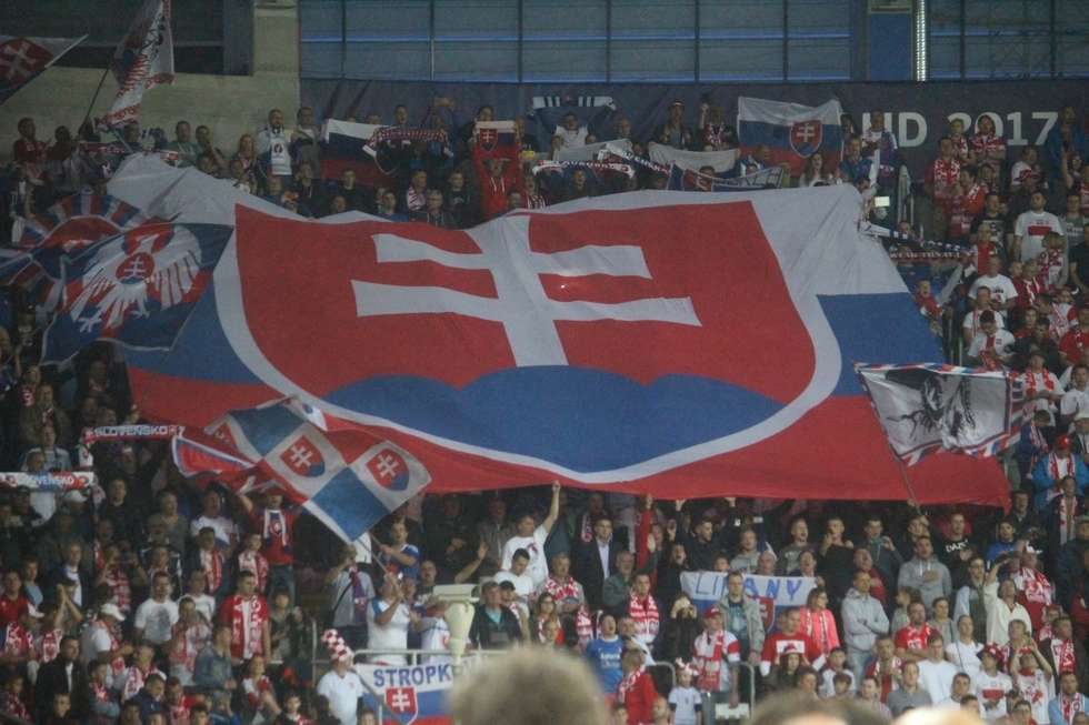  Mecz Polska - Słowacja (zdjęcie 25) - Autor: Mirosław Trembecki