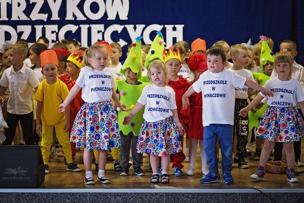  XVII Powiatowy Przegląd Teatrzyków Dziecięcych – Puchaczów 2017 (zdjęcie 5) - Autor: Przedszkole w Puchaczowie