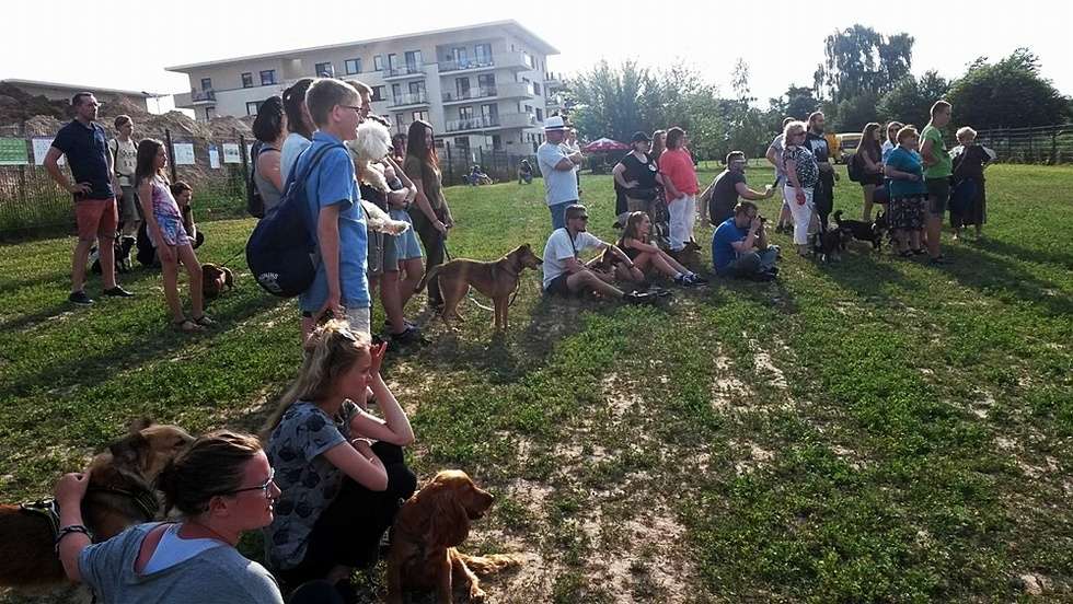  Piknik kynologiczny na psim wybiegu na Czechowie (zdjęcie 8) - Autor: Małgorzata Buczkowska