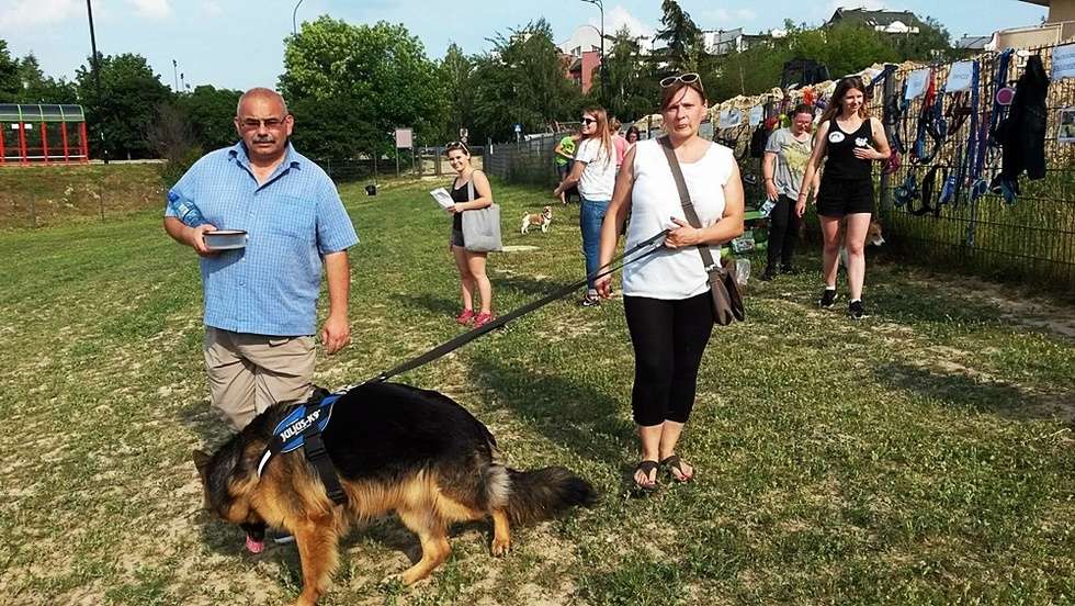 Piknik kynologiczny na psim wybiegu na Czechowie (zdjęcie 11) - Autor: Małgorzata Buczkowska