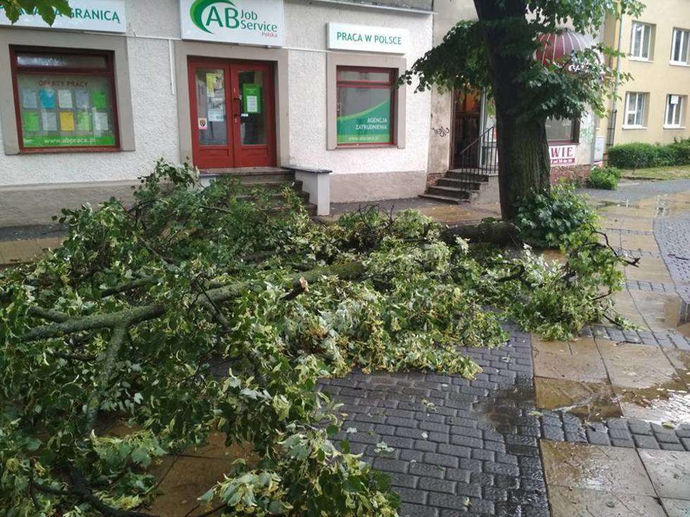  Burza w Lublinie: Połamane drzewa, zalane budynki (zdjęcie 85) - Autor: Paweł Buczkowski