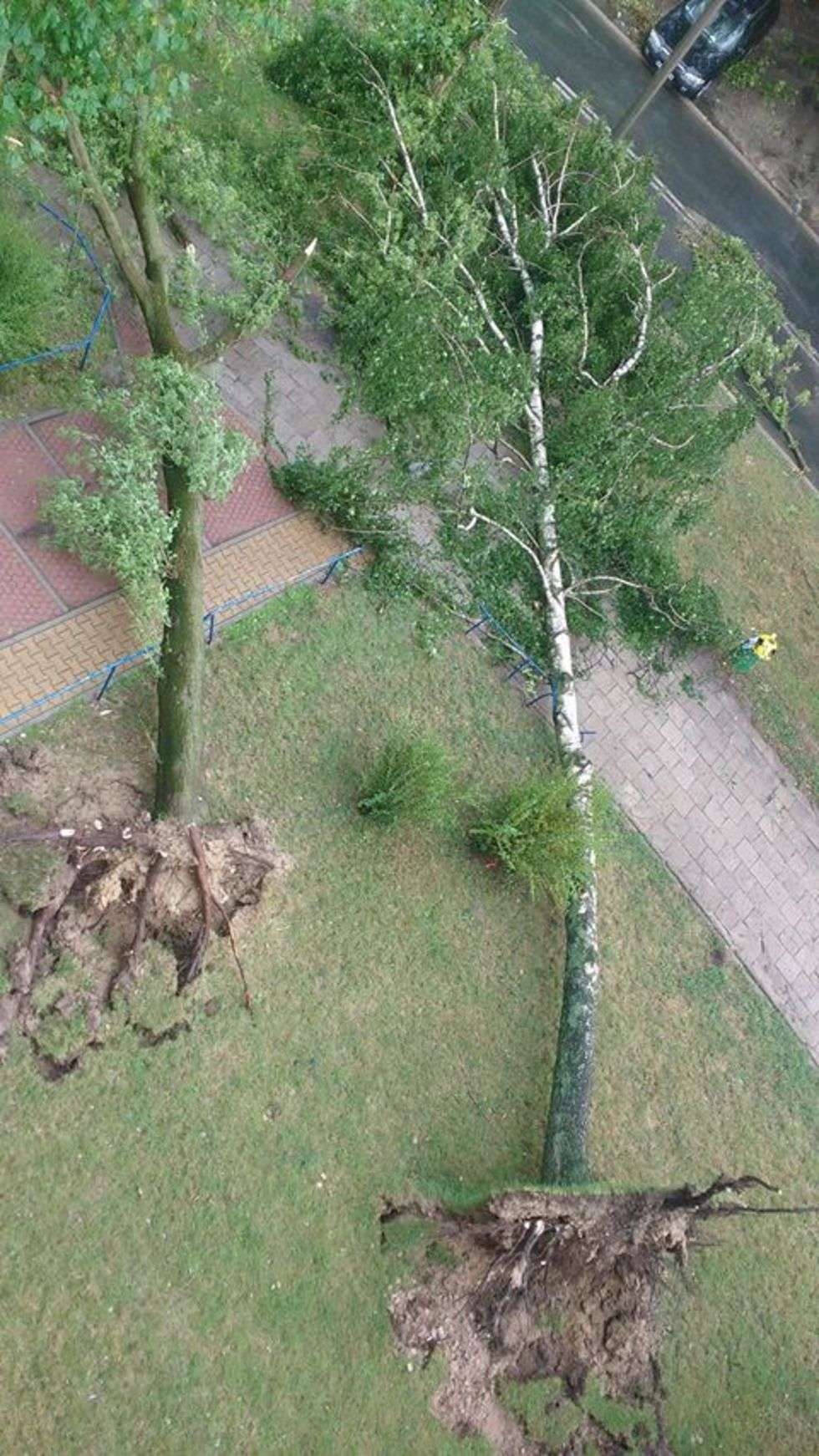  Burza w Lublinie: Połamane drzewa, zalane budynki (zdjęcie 49) - Autor: Beata Beata