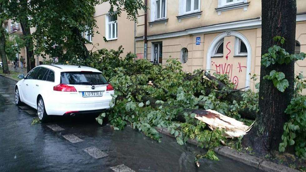 Burza w Lublinie: Połamane drzewa, zalane budynki (zdjęcie 95) - Autor: Tomasz