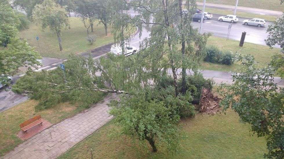  Burza w Lublinie: Połamane drzewa, zalane budynki (zdjęcie 52) - Autor: Beata Beata