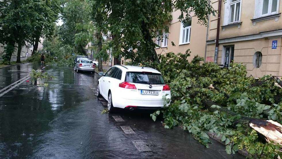  Burza w Lublinie: Połamane drzewa, zalane budynki (zdjęcie 92) - Autor: Tomasz