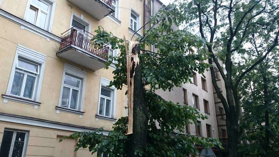  Burza w Lublinie: Połamane drzewa, zalane budynki (zdjęcie 93) - Autor: Tomasz