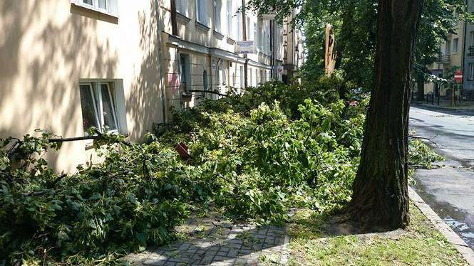 Burza w Lublinie: Połamane drzewa, zalane budynki