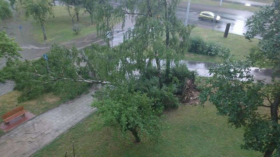  Burza w Lublinie: Połamane drzewa, zalane budynki (zdjęcie 54) - Autor: Beata Beata