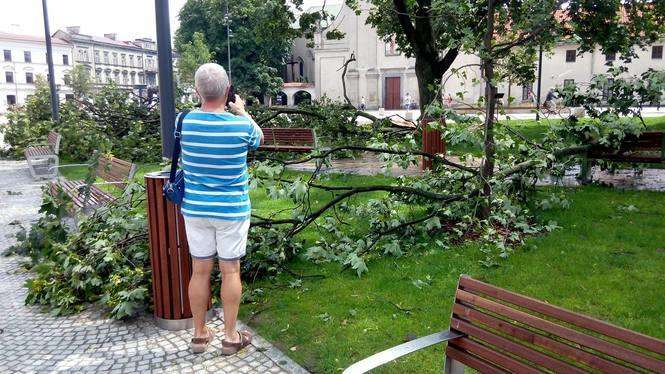 Burza w Lublinie: Połamane drzewa, zalane budynki