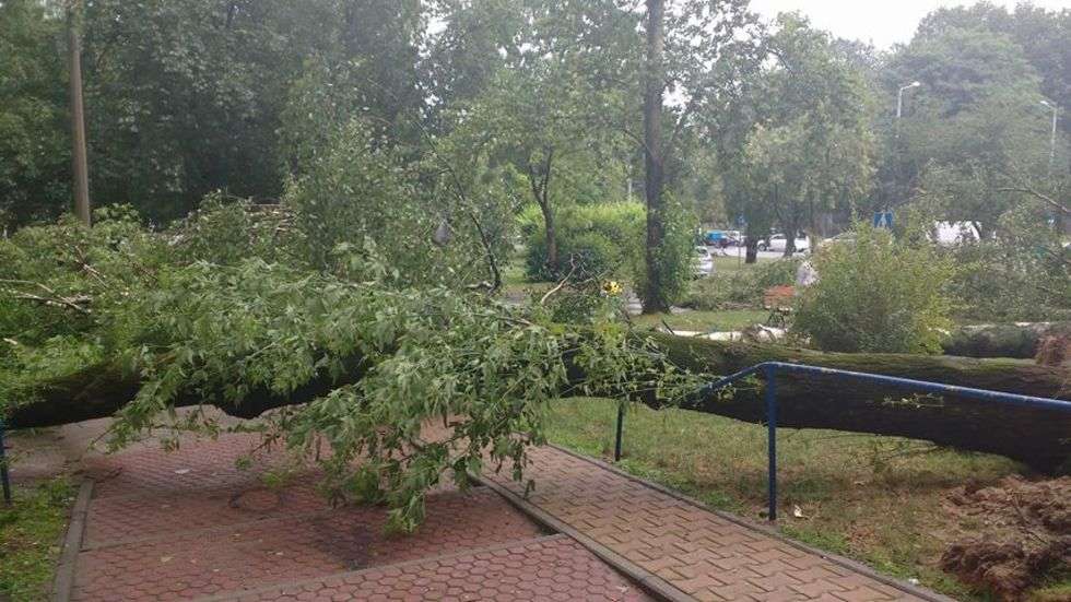  Burza w Lublinie: Połamane drzewa, zalane budynki (zdjęcie 53) - Autor: Beata Beata