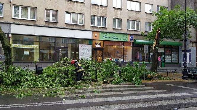 Burza w Lublinie: Połamane drzewa, zalane budynki