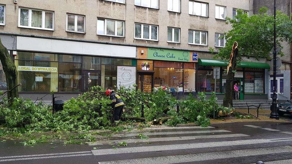  Burza w Lublinie: Połamane drzewa, zalane budynki (zdjęcie 88) - Autor: Łukasz Dudkowski