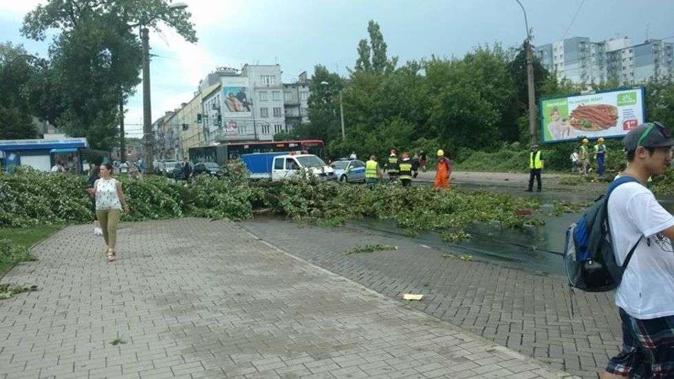  Burza w Lublinie: Połamane drzewa, zalane budynki (zdjęcie 56) - Autor: Mateusz Rękawek