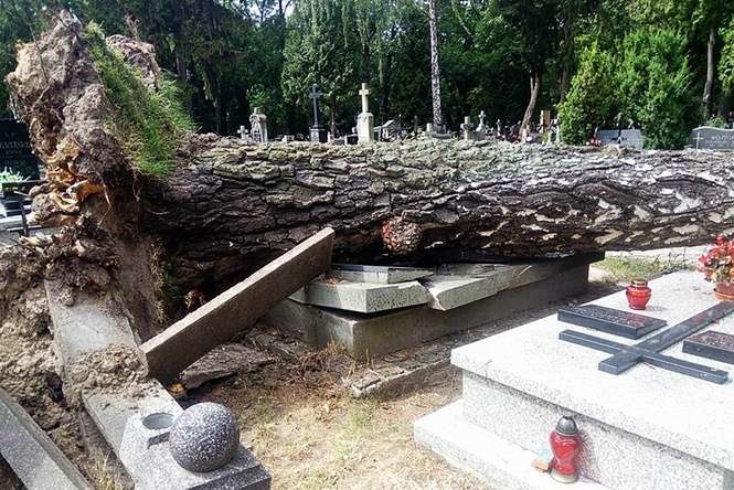 Zniszczenia na cmentarzu przy ulicy Lipowej w Lublinie - Autor: Dominik Smaga