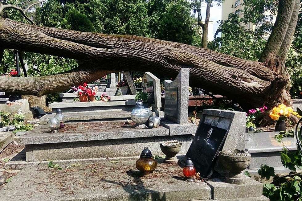  Zniszczenia na cmentarzu przy ulicy Lipowej w Lublinie (zdjęcie 3) - Autor: Dominik Smaga