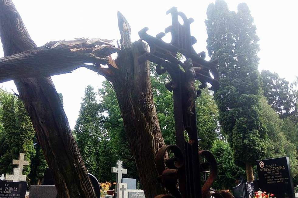  Zniszczenia na cmentarzu przy ulicy Lipowej w Lublinie (zdjęcie 5) - Autor: Dominik Smaga
