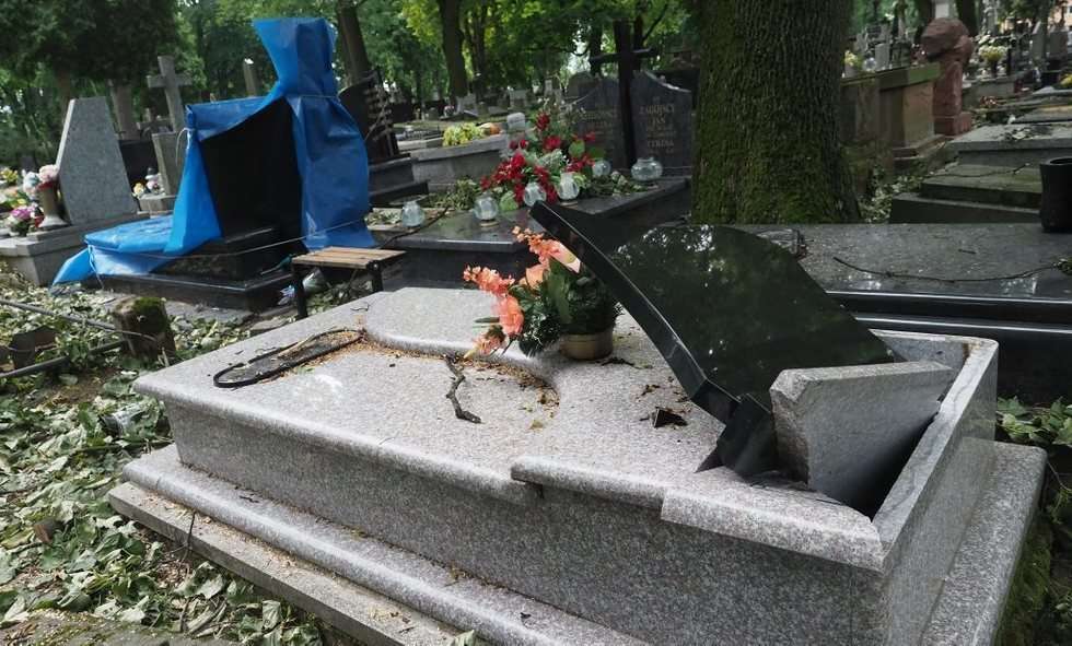  Cmentarz przy lipowej (zdjęcie 9) - Autor: Wojciech Nieśpiałowski